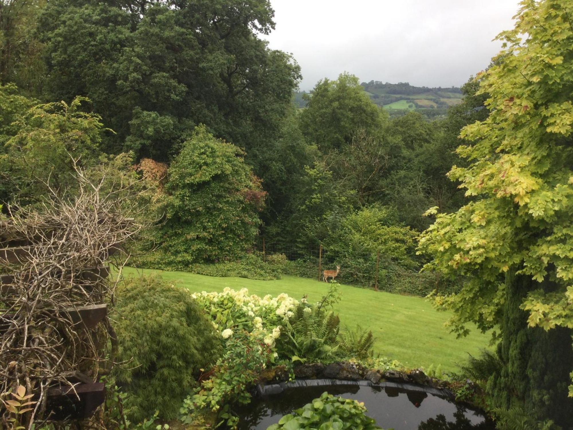 Dwynant - A Room With A View Llangathen Exterior photo
